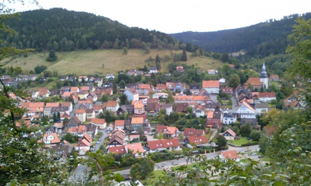 Landhaus Lautenthal Ngoại thất bức ảnh